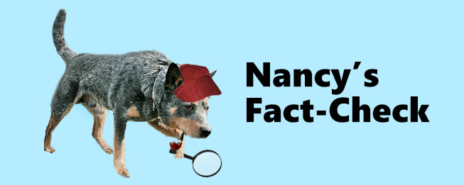 nandy_factcheck