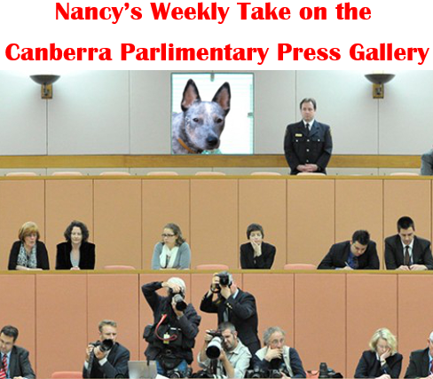 parlimentary-press-gallery-and-nancy