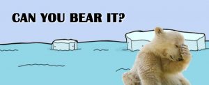 Can You Bear It