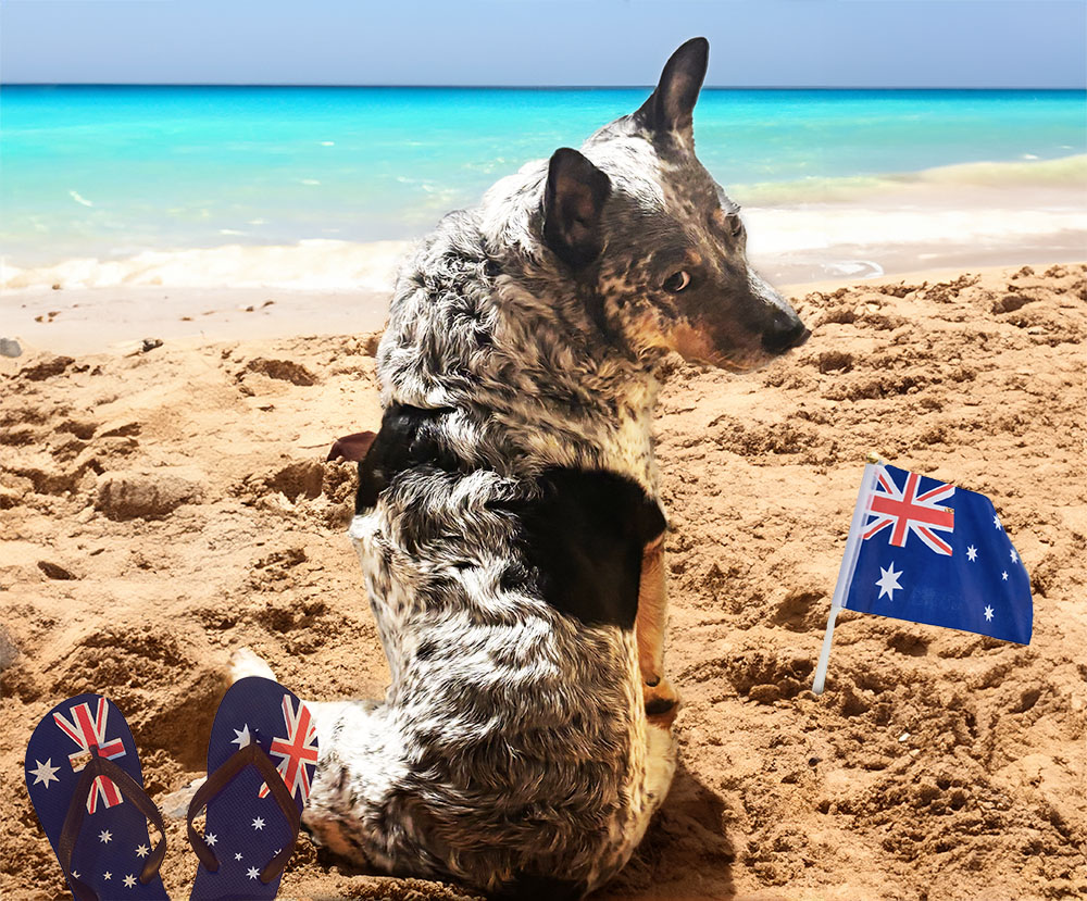 Ellie Australia Day